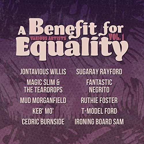 Album cover for “A Benefit for Equality Vol. 1” with artist names.