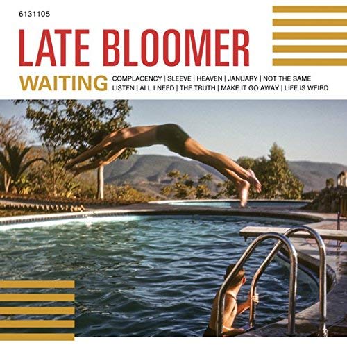 CD cover: man diving into a pool with mountains in background.