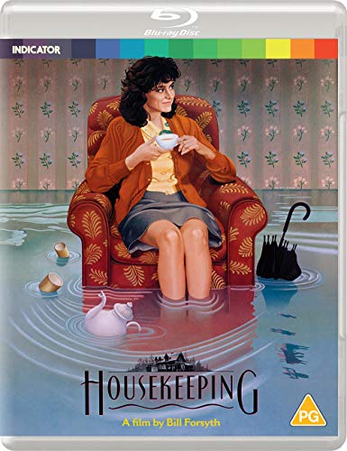 A woman sits in a red armchair in a flooded room on this Blu-ray cover.