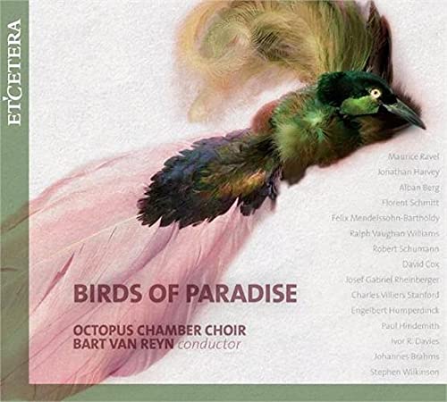 CD cover featuring a vibrant pink and green bird of paradise.