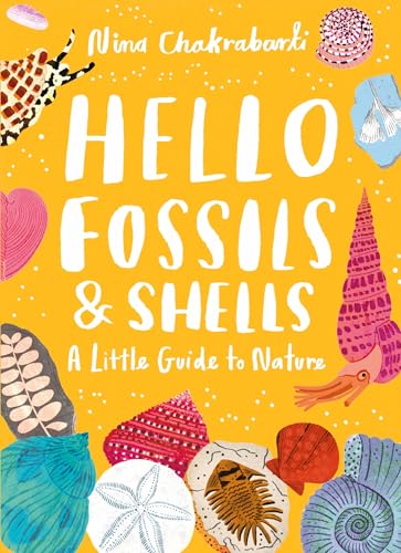 Hello Shells and Fossils!