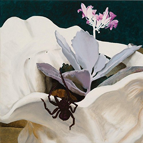 Painted album cover featuring flowers, a spider, and draped fabric.