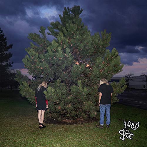Album cover for 1000 Gecs featuring two figures by a large tree.