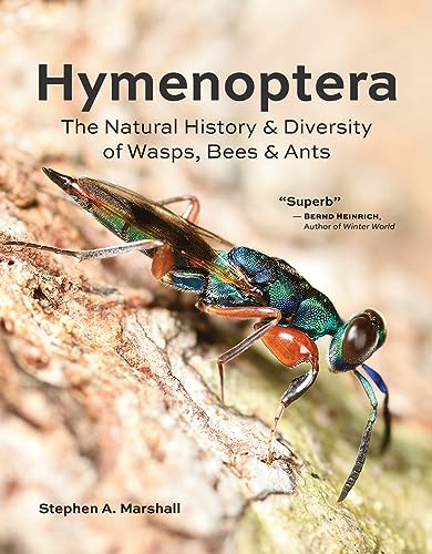 Hymenoptera : The Natural History and Diversity of Wasps, Bees and Ants