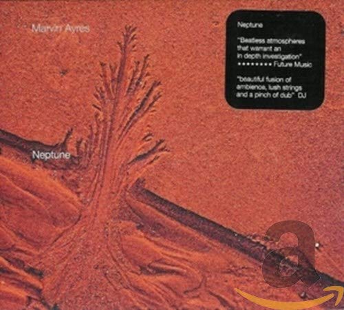 CD cover for “Neptune” featuring a reddish-brown abstract tree image.