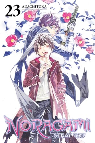 Noragami Stray God Gn Vol 23 (Res) (Mr) (C: 1-1-1)