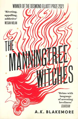 Book cover with witchy illustration, dark colors, and medieval or fantasy setting possibly.