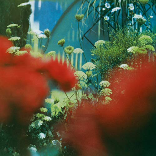 CD cover with blurred floral imagery in red, green, and blue.