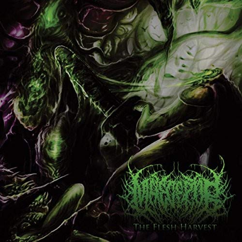Dark, abstract album cover with green text: "Disgorge" and "The Flesh Harvest".
