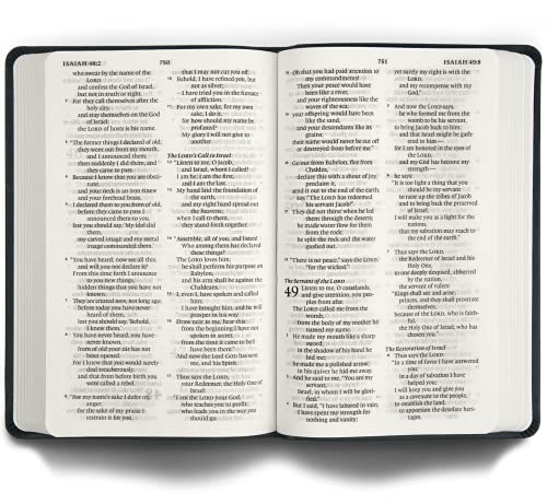 ESV Large Print Value Thinline Bible