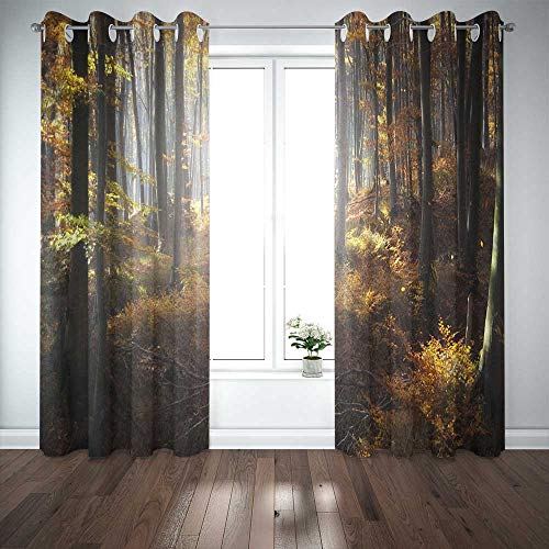 Curtains with a forest scene in autumn colors hang by a window.