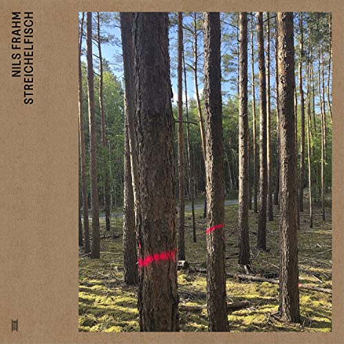 Album cover for Nils Frahm’s “Streichelfisch” featuring a pine forest.