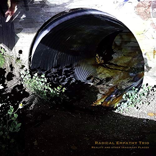 CD cover: dark tunnel view with text "Radical Empathy Trio".
