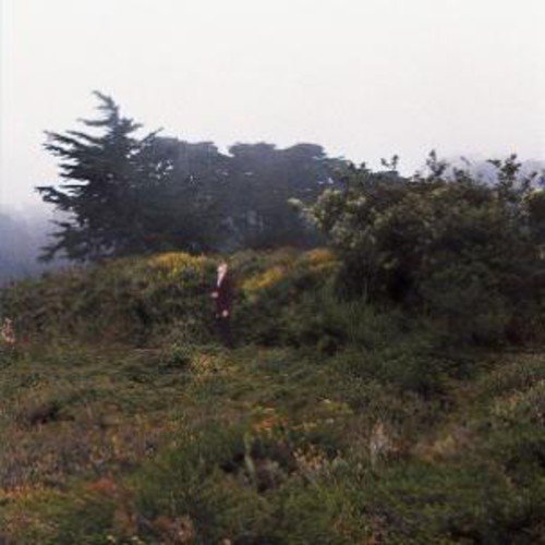 Foggy landscape with trees and a small figure in red clothing.