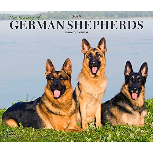 The Beauty of German Shepherds | 2024 14 x 24 Inch Monthly Deluxe Wall Calendar | Sticker Sheet | StarGifts | Animal Dog Breeds