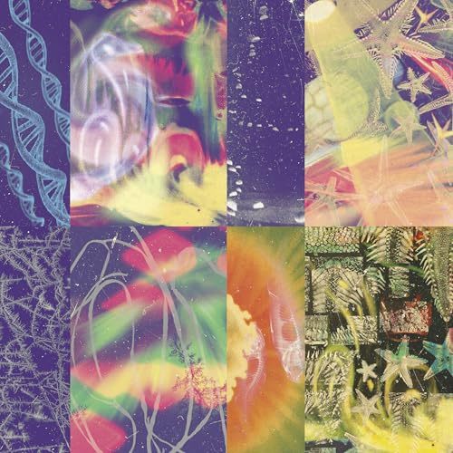 Collage of colorful, abstract shapes including DNA strands and starfish.