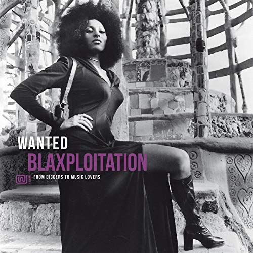Vinyl album cover featuring a woman with an afro and bold text.