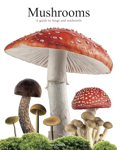 Mushrooms : A guide to fungi and toadstools