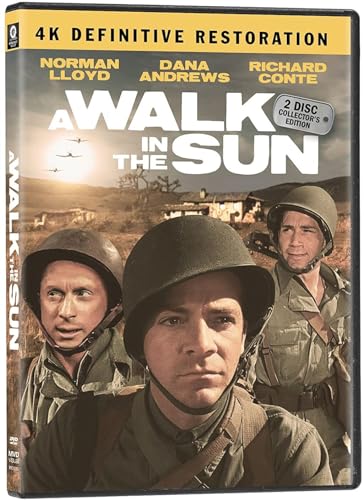 DVD cover for “A Walk In The Sun” featuring soldiers in helmets.