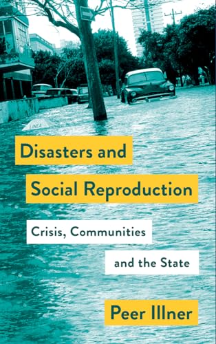 Disasters and Social Reproduction : Crisis Response between the State and Community