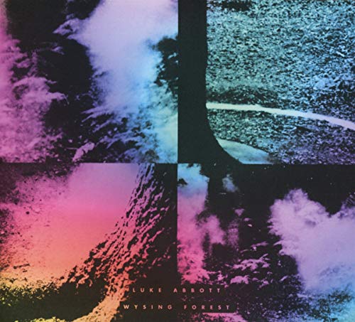 CD cover for Luke Abbott’s “Wysing Forest” with abstract, colorful panels.