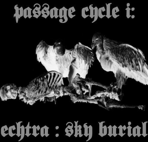 Black and white image of vultures gathered around animal remains.