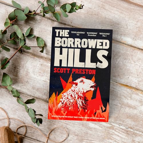 The Borrowed Hills