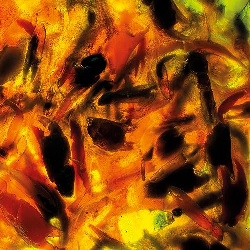 Abstract orange and black painting, resembling flames or distorted figures.