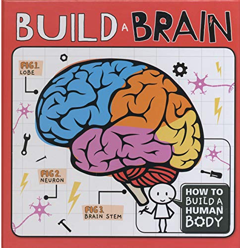 Build a Brain (How to Build a Human Body)