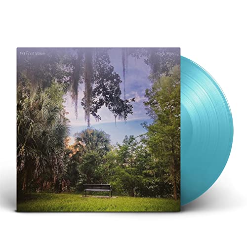 Vinyl record with album cover depicting a park scene and blue disc.
