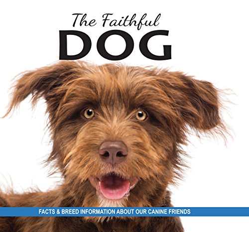 The Faithful Dog : Facts and breed information on our canine friends