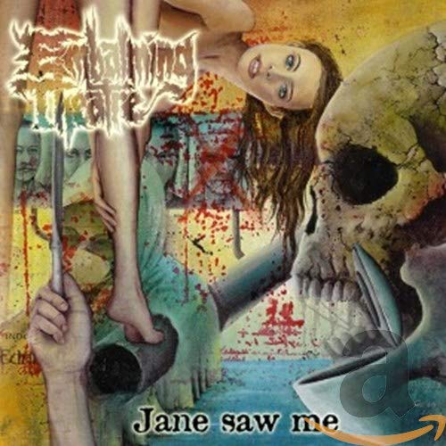 CD cover: skull, hand, and woman with the title "Jane saw me".