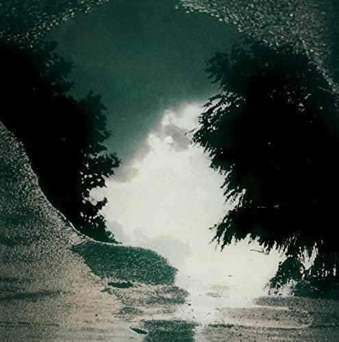 Dark trees frame a bright, cloudy sky reflected in wet pavement.