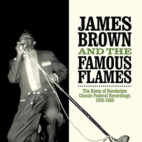 James Brown performing with a microphone, album cover for "The Roots Of Revolution.