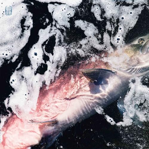 Fish partially submerged in foamy, dark water with a blue grid logo.