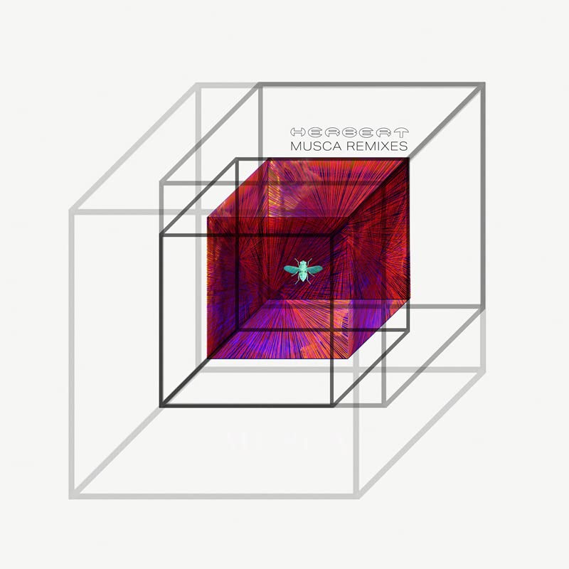 Record sleeve with abstract geometric design and a central bee image.