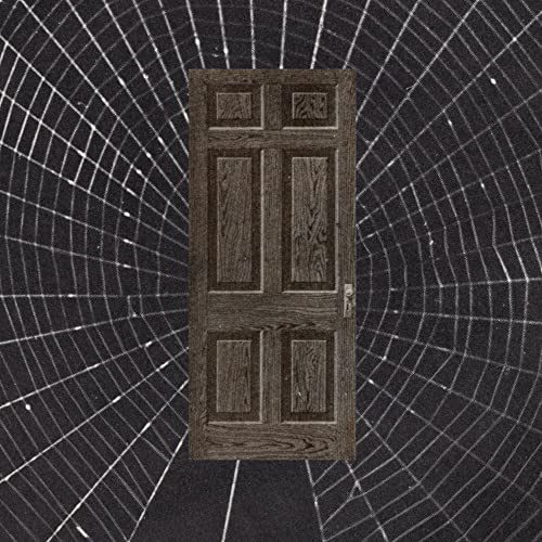 Brown wooden door centered against a radiating web-like background.
