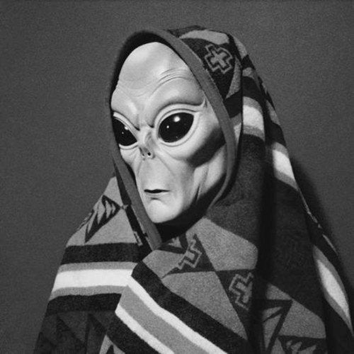 Grey alien head wrapped in a patterned blanket, black and white.