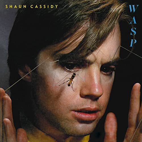 Shaun Cassidy album cover featuring a close-up of his face with a wasp.