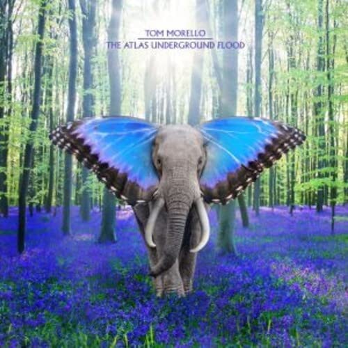 An elephant with large blue butterfly wings stands in a bluebell forest.