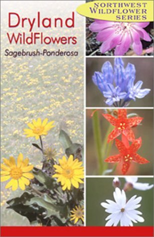 Northwest Dryland Wildflowers