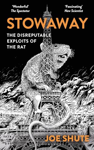 Stowaway : The Disreputable Exploits of the Rat – A NEW SCIENTIST NON-FICTION BOOK OF THE YEAR