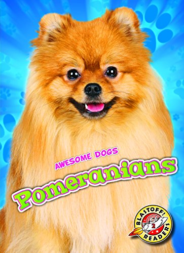 Pomeranians (Awesome Dogs)