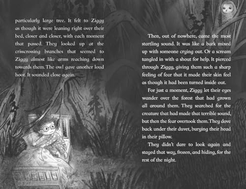 The Night Forest