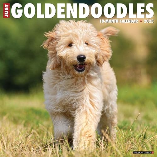 Just Goldendoodles 2025 12 X 12 Wall Calendar