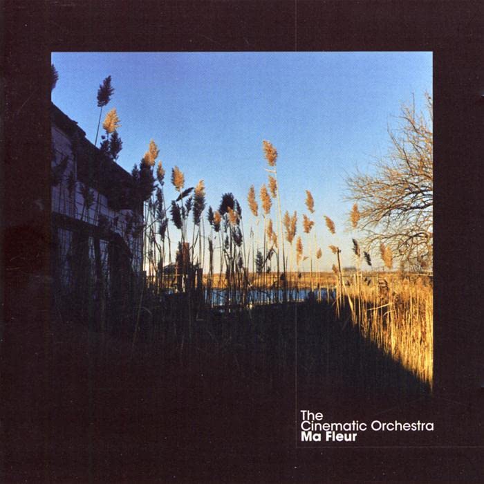 Album cover for The Cinematic Orchestra’s “Ma Fleur,” featuring reeds and sky.