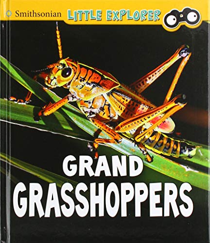 Insect Explorer: Grand Grasshoppers