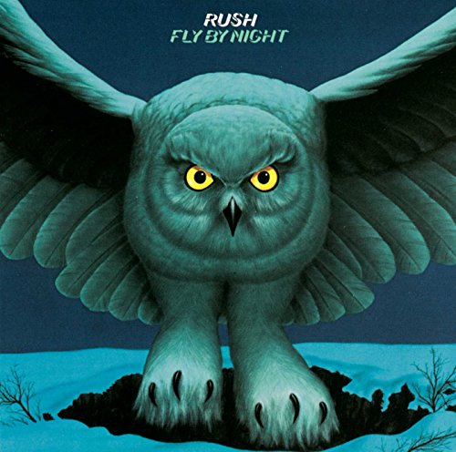 An owl with bright yellow eyes spreads its wings against a dark blue background.