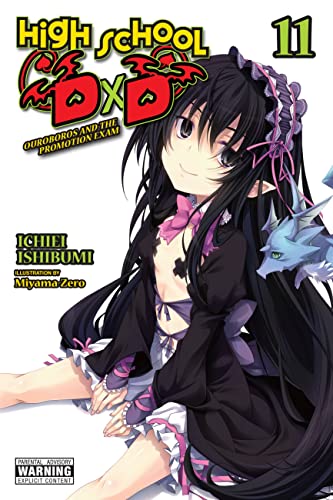 High School Dxd Light Novel Sc Vol 11 (C: 0-1-2)