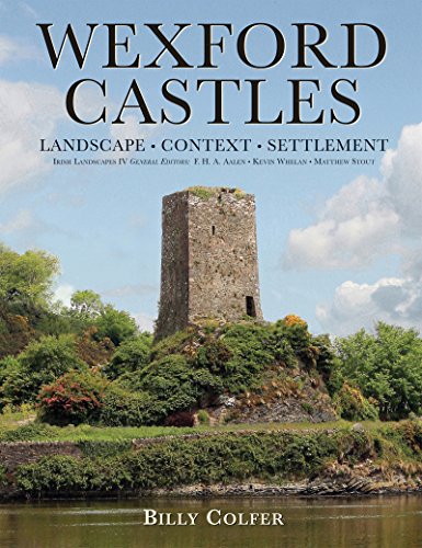 Wexford Castles : Environment, Settlement and Society